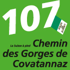 WL_107_VD_Chemin_des_Gorges_de_Covatannaz_075